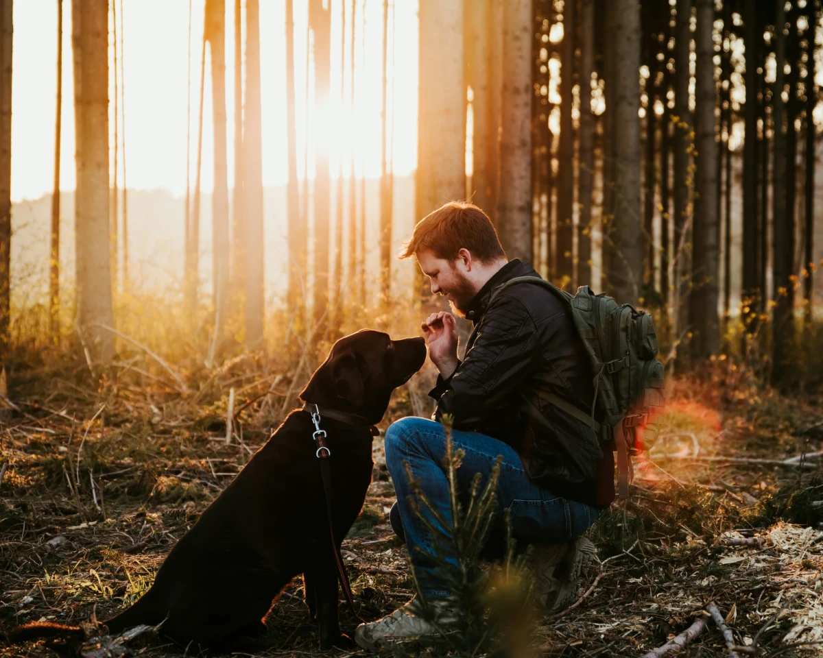 Ein schwarzer Hund und sein Besitzer sitzen eng beieinander in einem herbstlichen Wald mit warmen Sonnenlicht und B&auml;umen im Hintergrund. Der Mann kniet und streichelt den Hund z&auml;rtlich, w&auml;hrend sie einander zugewandt sind.