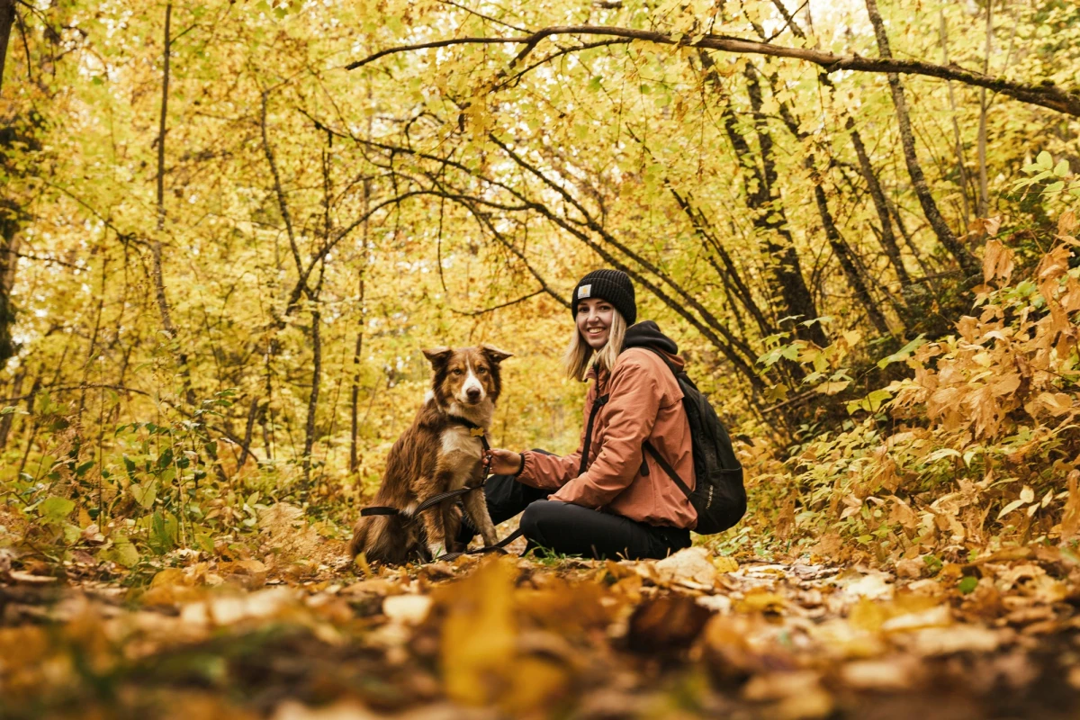 Ein Mensch in orangefarbener Jacke sitzt mit einem Border Collie in einem herbstlichen Wald, umgeben von gelben Bl&auml;ttern und B&auml;umen. Beide blicken entspannt in die gleiche Richtung, w&auml;hrend sie auf dem Waldboden sitzen.