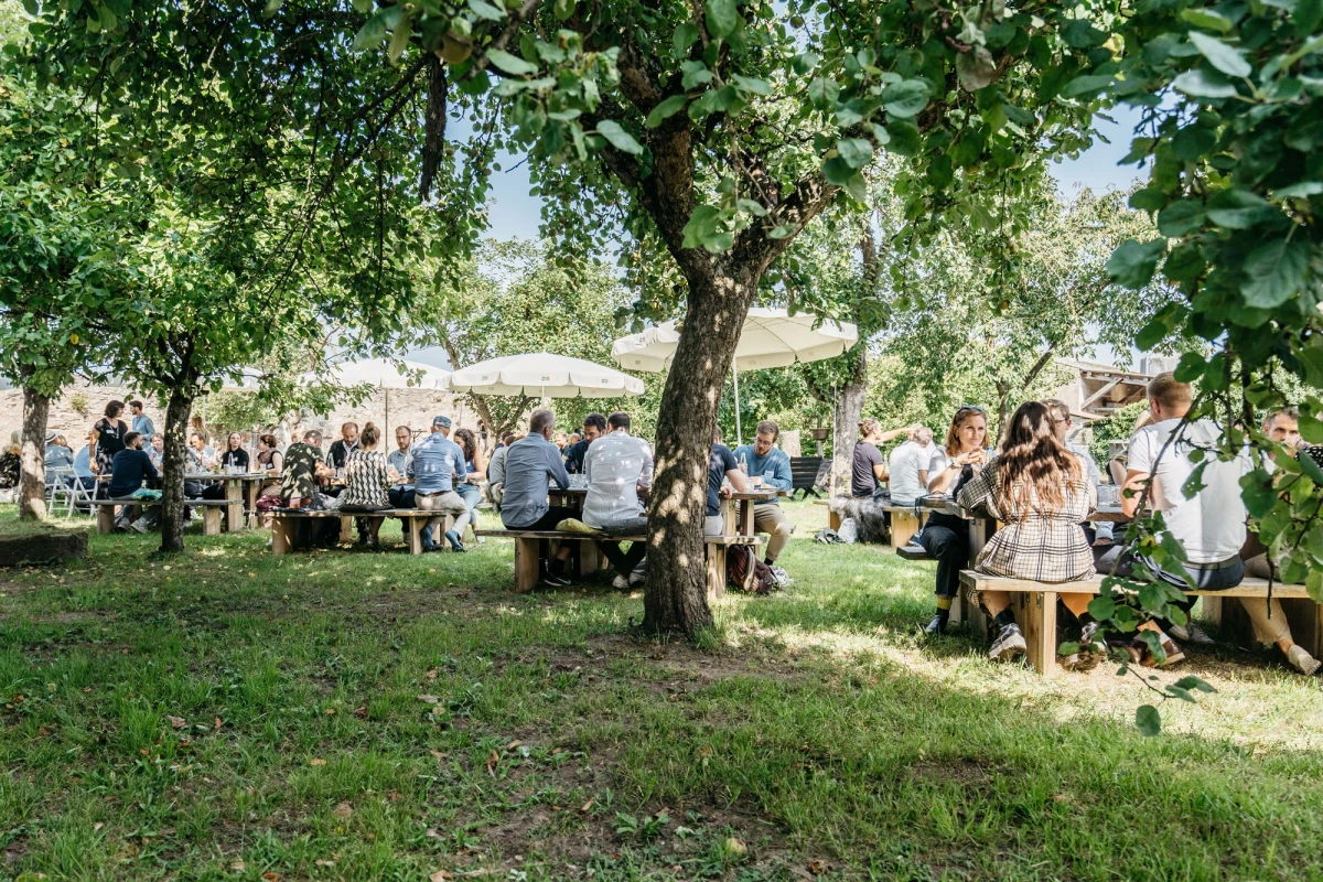 Sommerliche Veranstaltung unter B&auml;umen mit mehreren Besuchern, die an Holzb&auml;nken und Tischen sitzen und im Freien zusammenkommen, umgeben von gr&uuml;nem Gras und B&auml;umen.